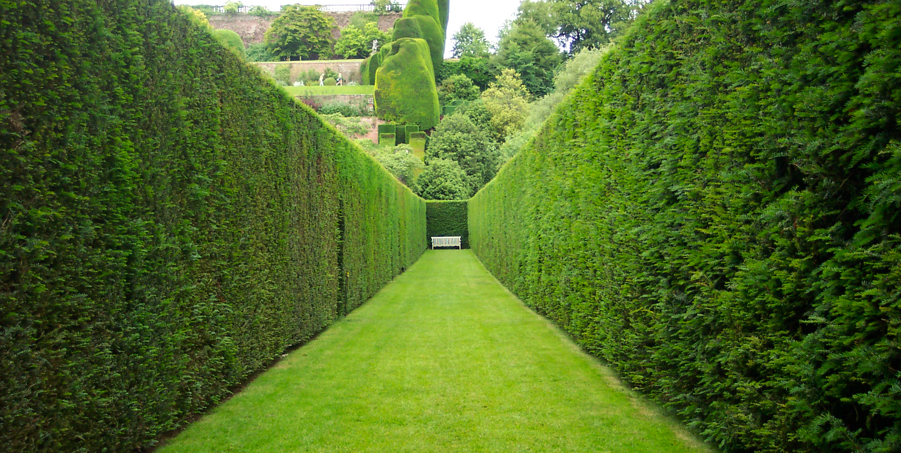 Creating hedges