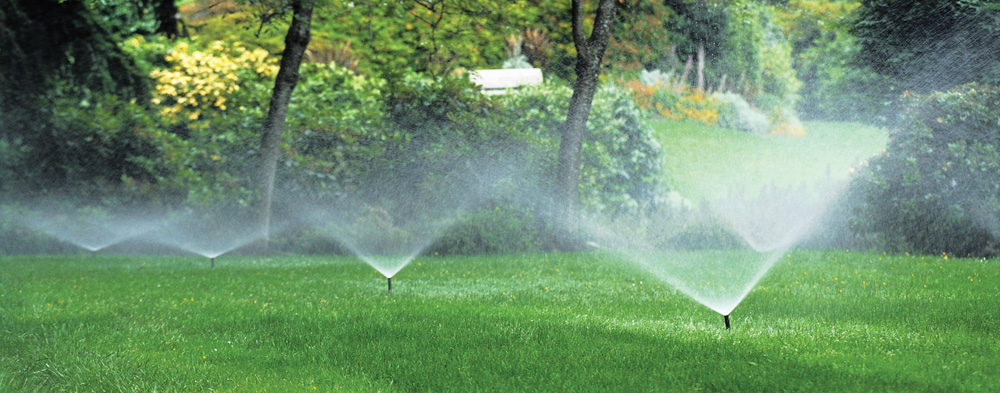 ������������ �����