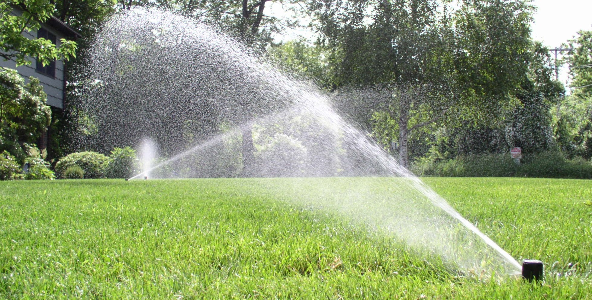 ������������ �����