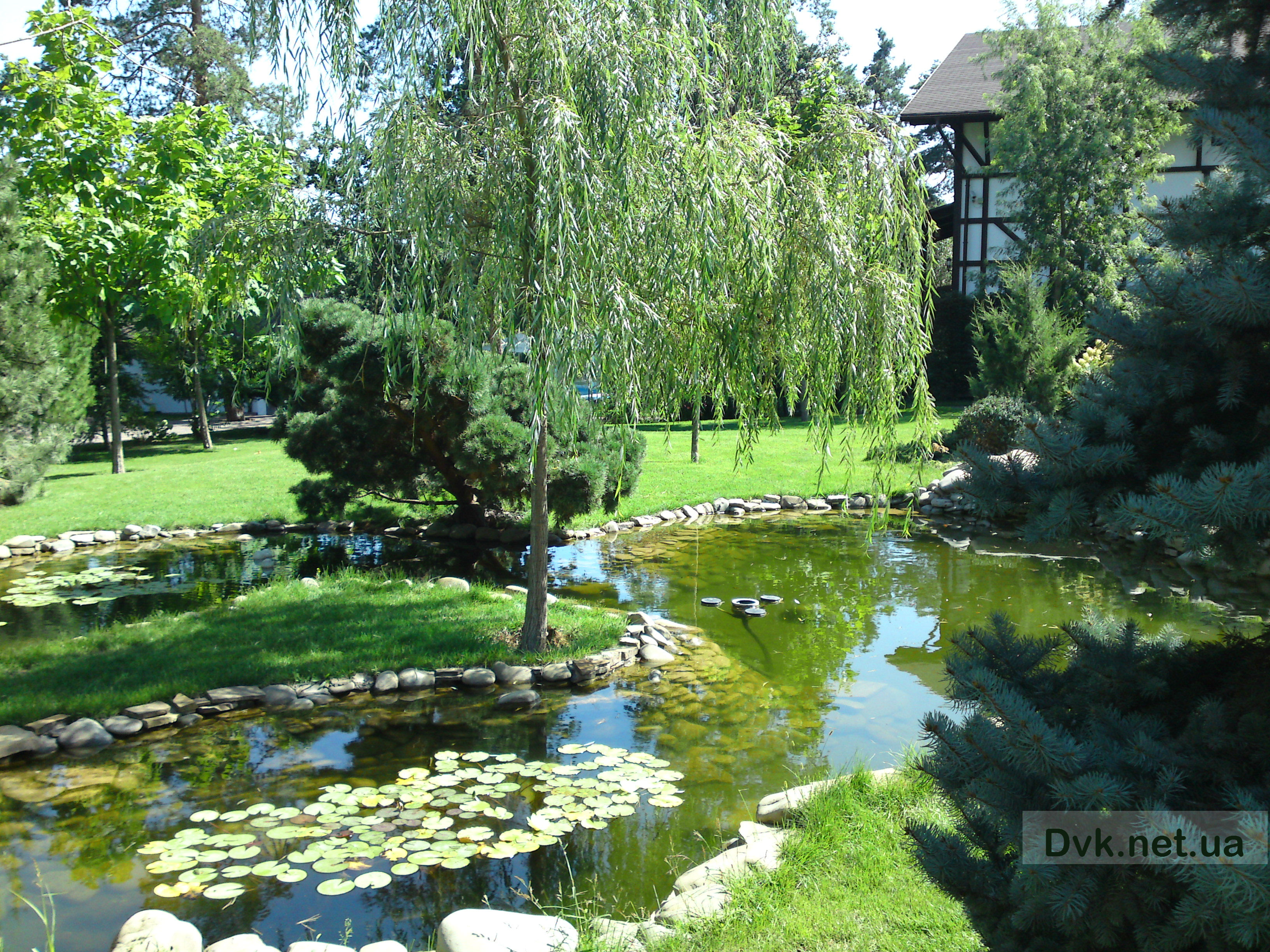 �������� � ��������