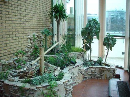 ������ ���