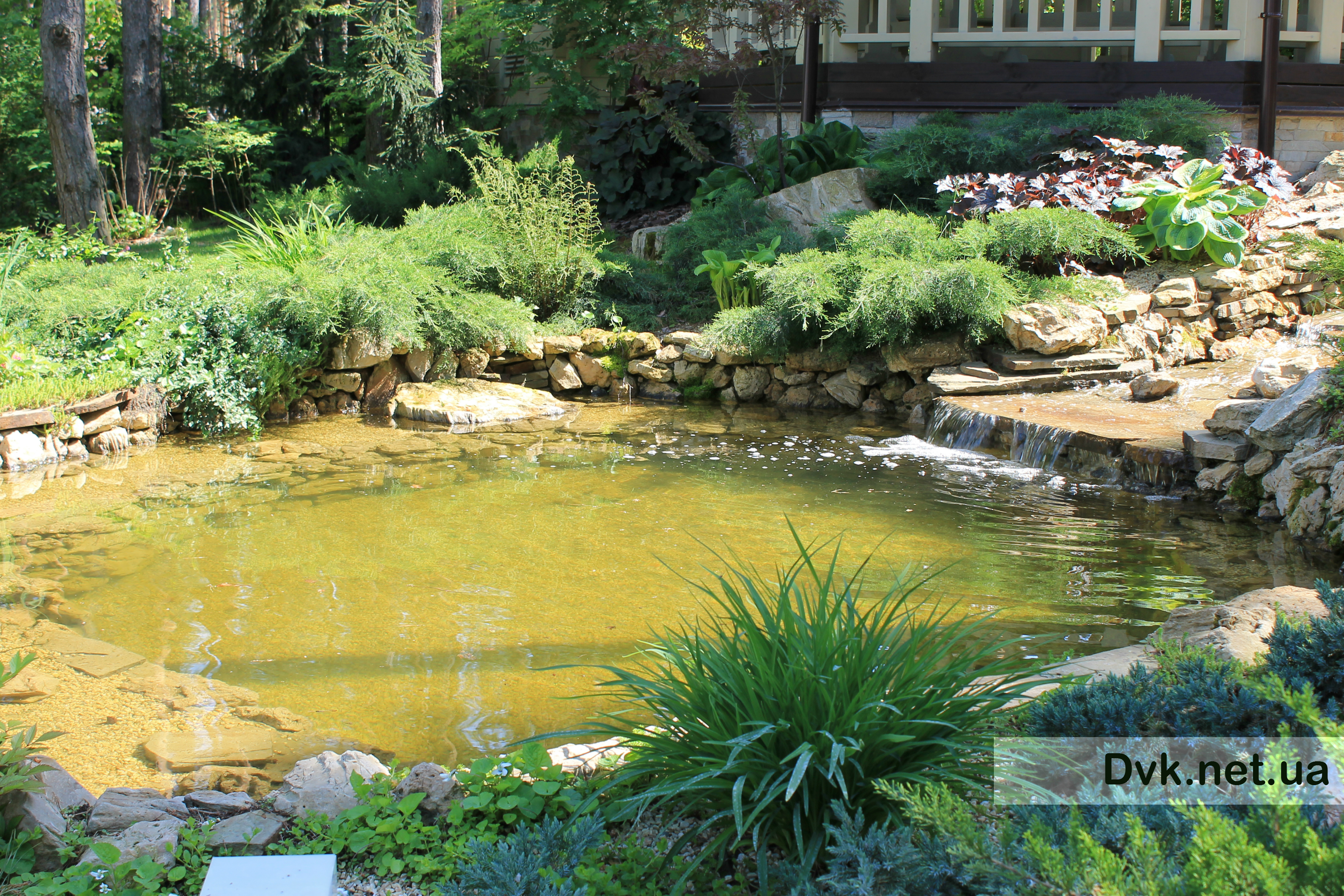 ���� ������ �� ����� ��� �����������