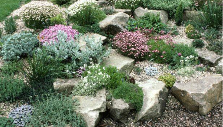 Alpine garden