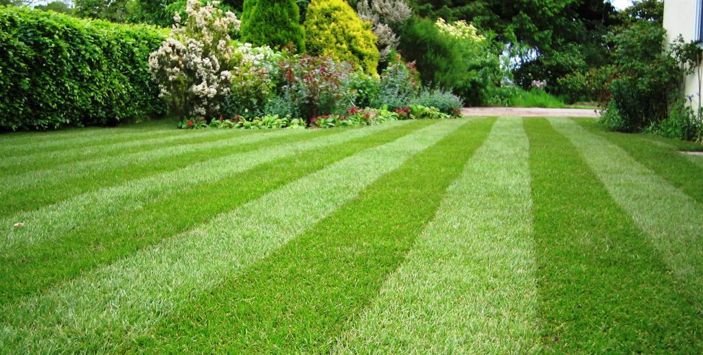 ̳�������� ������� � ���������