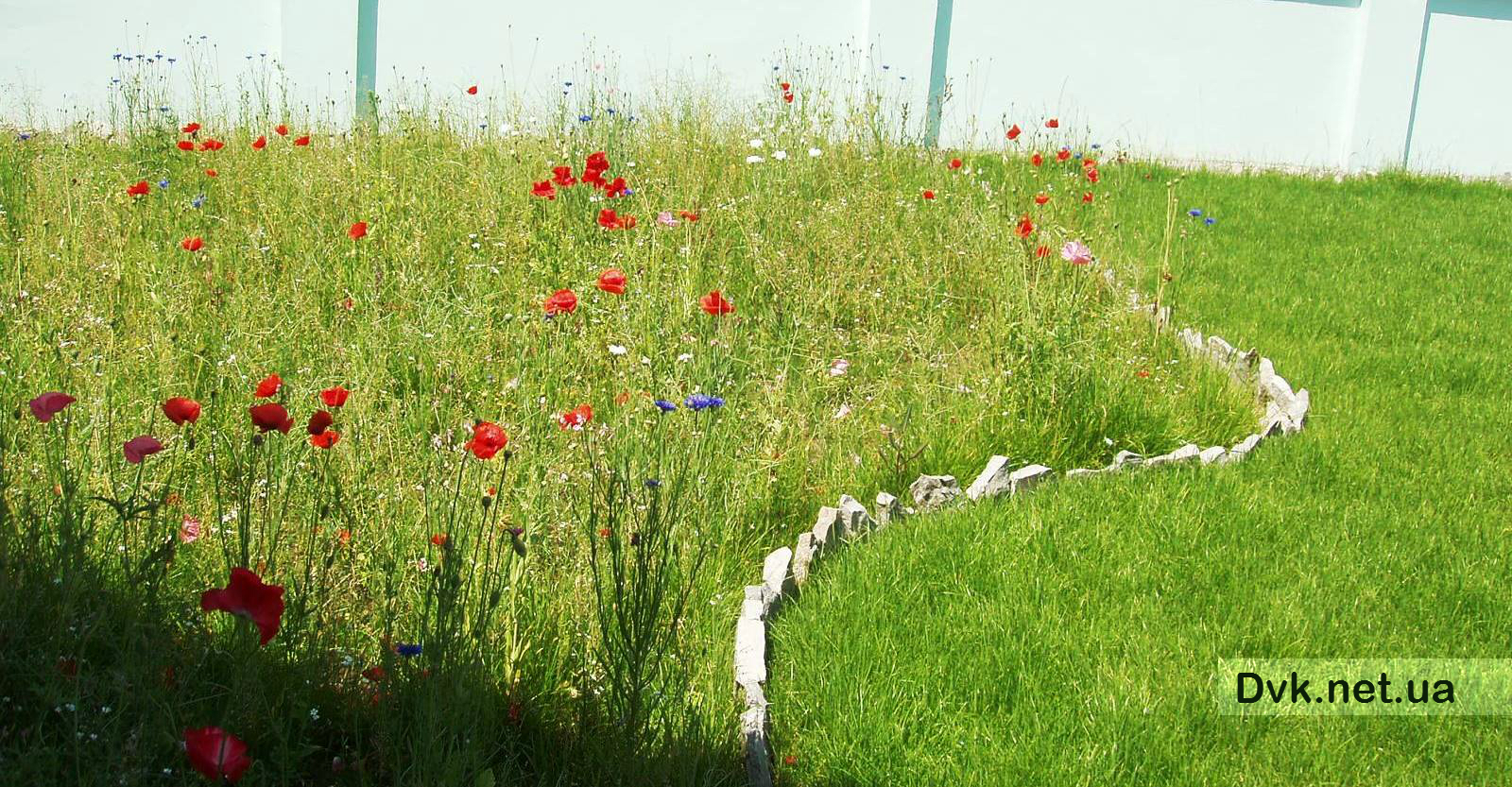 ̳�������� ������� � ���������