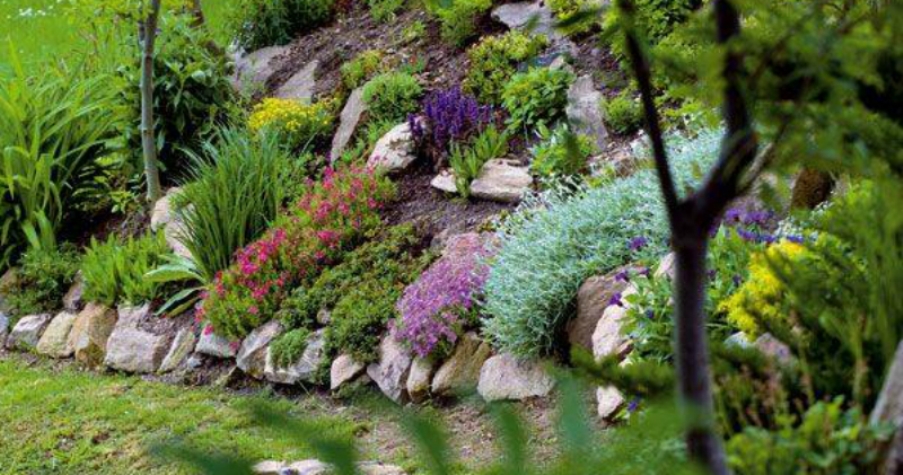 �������� ����